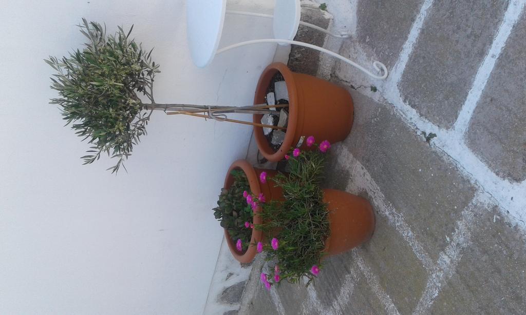 Angela'S Rooms Mykonos Town Luaran gambar